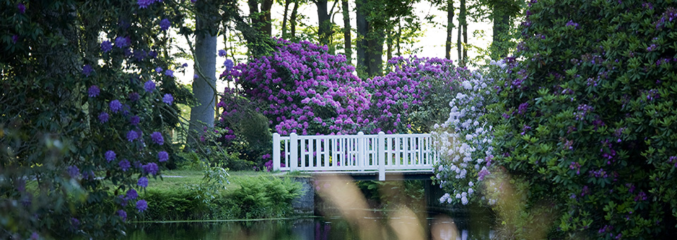 schloss-luetetsburg-schlosspark03-header